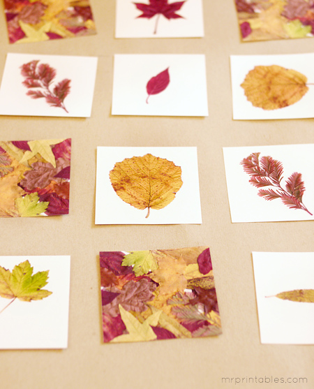 Autre jeu de mémoire, cette fois-ci avec des feuilles pour l'automne. www.mrprintable.com